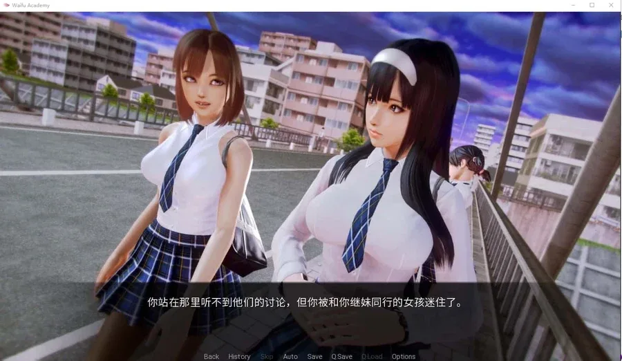 二次元老婆学院_Waifu Academy 资源内容 画面